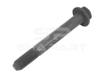 2.61137 Screw, M20 x 2,5, SW: 27, L: 155 mm, 10.9