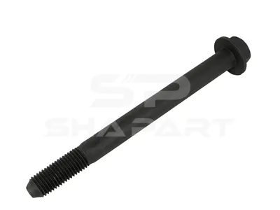 2.61205 Screw, M20 x 2,5, SW: 27, L: 223 mm, 10.9