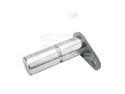 2.62069 Bolt, D: 30 mm, L: 100 mm