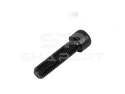2.62091 Screw, M14, L: 55 mm, 10.9