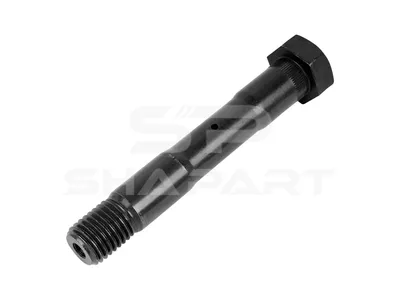 2.62095 Spring bolt, D: 25 mm, M24 x 3, SW: 36, L: 176 mm