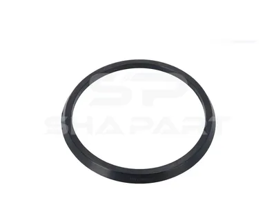 2.62330 Seal ring, d: 160 mm, D: 183 mm, H: 11 mm