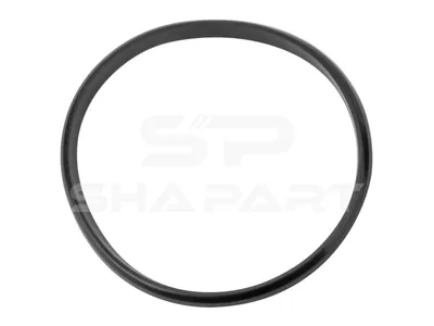 2.62333 Seal ring, d: 160 mm, D: 177 mm, H: 11 mm