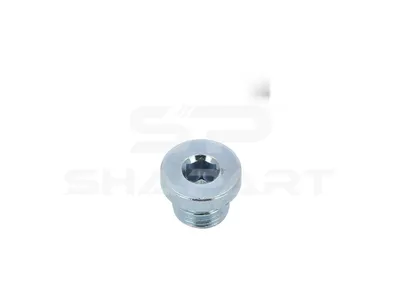 2.65073 Drain plug, M10 x 1