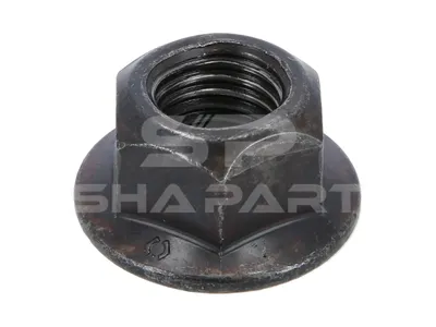 2.70901 Nut, M16, 10