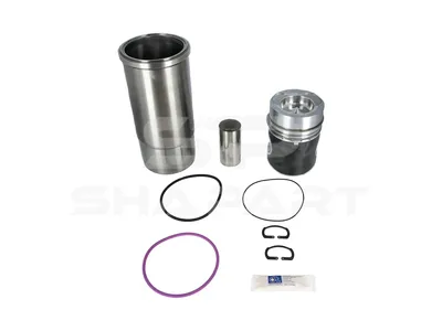 2.90074 Piston with liner, D: 120.6 mm