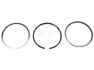 2.90088 Piston ring kit