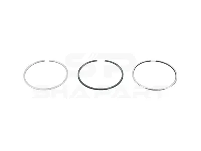 2.90096 Piston ring kit