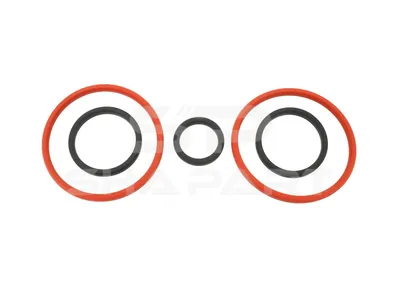 2.91175 Cylinder head gasket kit