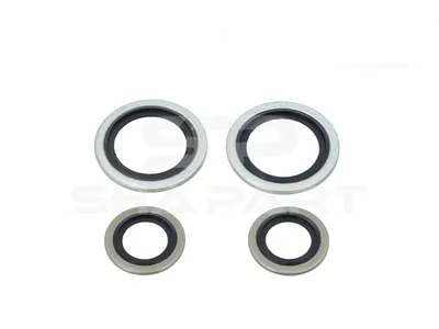 2.91325 Seal ring kit