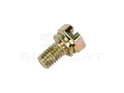 2.92020 Bleeder screw, fuel filter, M6, Lu: 10 mm, SW: 10, L: 15.5 mm, 8.8