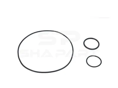 2.92511 O-ring kit, oil separator