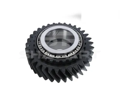 2.93420 Gear, with bearing