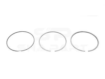 2.94569 Piston ring kit
