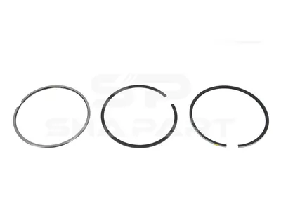 2.94579 Piston ring kit