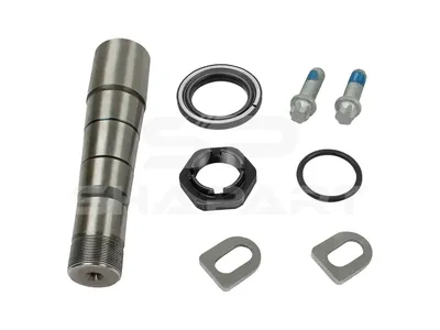 2.95023 King pin kit