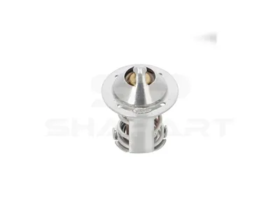 3.00196 Thermostat