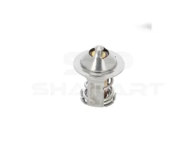 3.00197 Thermostat