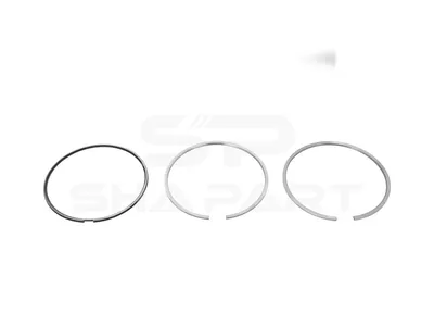 3.00284 Piston ring kit