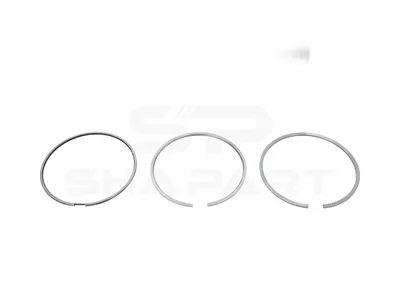 3.00350 Piston ring kit