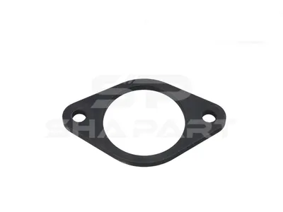 3.10055 Flange, camshaft
