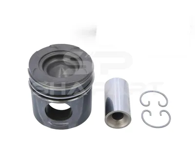 3.10128 Piston, complete with rings