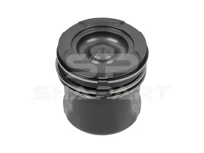 3.10142 Piston, complete with rings, D: 120 mm, L: 121.8 mm