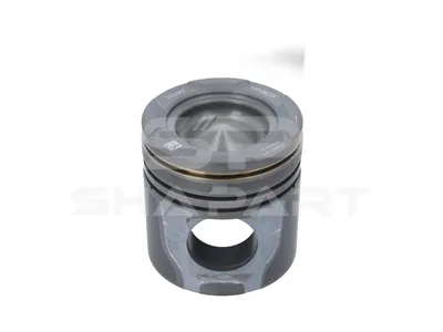 3.10501 Piston, complete with rings