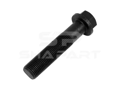 3.11202 Flywheel screw, M16 x 1,5, LTh: 54 mm, Lu: 74 mm, SW: 19