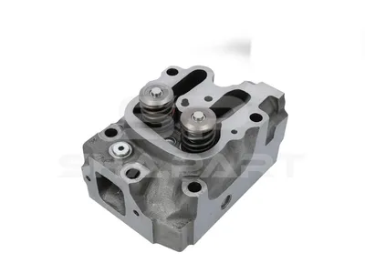 3.12224 Cylinder head, with valves
