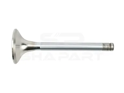 3.13001 Exhaust valve, D1: 12 mm, D2: 51 mm, L: 142.6 mm, α: 45 °