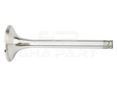 3.13006 Exhaust valve, D1: 12 mm, D2: 51 mm, L: 142.5 mm, α: 45 °