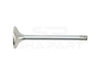 3.13008 Exhaust valve, D1: 10 mm, D2: 42 mm, L: 136.3 mm, α: 45 °
