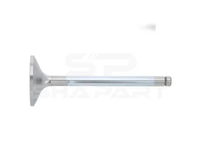 3.13009 Intake valve, D1: 10 mm, D2: 49 mm, L: 136.5 mm, α: 30 °