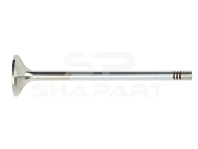 3.13010 Exhaust valve, D1: 9 mm, D2: 38 mm, L: 160.4 mm, α: 45 °