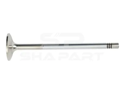 3.13011 Intake valve, D1: 9 mm, D2: 40 mm, L: 160.4 mm, α: 30 °