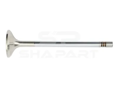 3.13013 Exhaust valve, D1: 9 mm, D2: 41 mm, L: 153.7 mm, α: 45 °