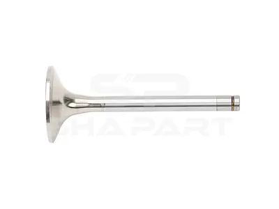 3.13014 Intake valve, D1: 12 mm, D2: 58 mm, L: 142.5 mm, α: 30 °