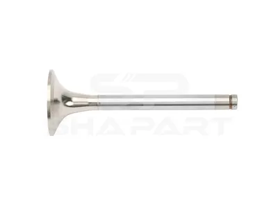 3.13015 Exhaust valve, D1: 12 mm, D2: 51 mm, L: 142.5 mm, α: 30 °