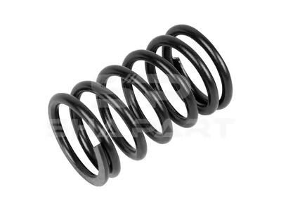3.13022 Valve spring, outer, D: 41.8 mm, L: 69 mm