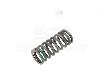 3.13027 Valve spring
