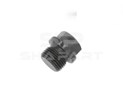 3.14144 Screw plug, M18 x 1,5, L: 24 mm