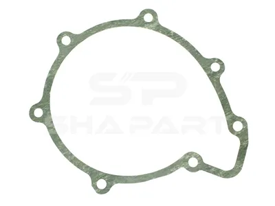 3.16100 Gasket, water pump
