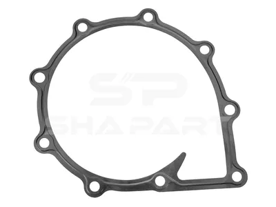 3.16113 Gasket, water pump