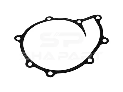 3.16117SP Gasket, water pump, paper