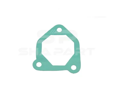 3.16551 Gasket, coolant pipe