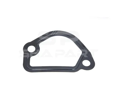3.16556 Gasket, coolant pipe