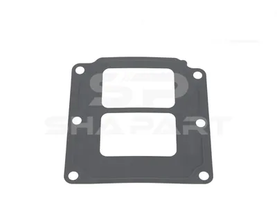 3.18145 Gasket, exhaust gas recirculation module