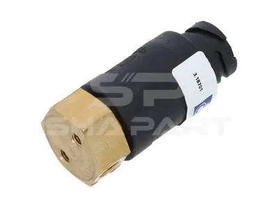 3.18701 Solenoid valve, flame starter system, 24 V