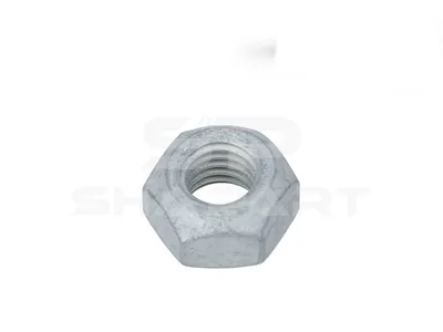 3.19116 Nut, M10, 10